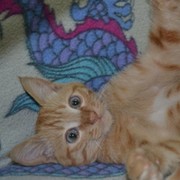 алла штемке on My World.