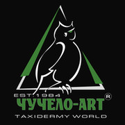 ЧУЧЕЛО-ART группа в Моем Мире.