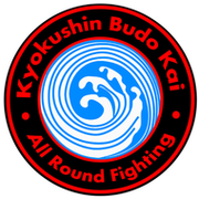 Кёкусин Будо Кай Кан • KFProfi team группа в Моем Мире.