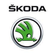 Автоцентр Skoda Экспресс-Авто группа в Моем Мире.
