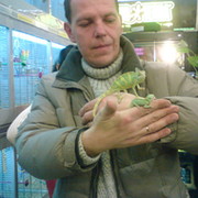Евгений Шамраев on My World.