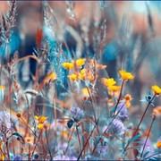 Светлана В. on My World.