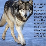 Сергей Худяков on My World.