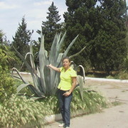 Виктория Санакоева on My World.