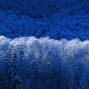 Айдарбек Изекенов on My World.