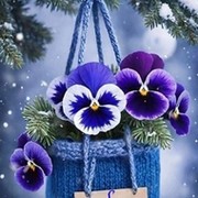 Анна Панкова on My World.