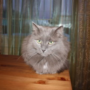Алла Сафронова on My World.