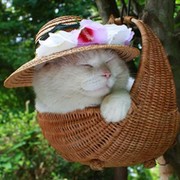Натали Я on My World.