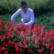 Некруз Давлатов on My World.