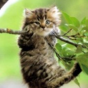 Оксана Девина on My World.