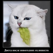 Злая Зая on My World.