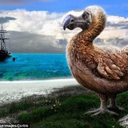 Лариса Cергеева on My World.