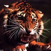 Андрей . on My World.