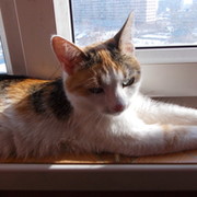 Елена Тамбовцева on My World.