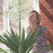 Елена Панфилова on My World.