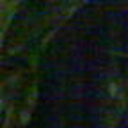 Sancho .Gyrdymoff on My World.
