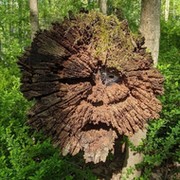 Евгений Шкиперов on My World.
