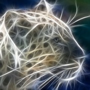 Пшеничная Ирина on My World.