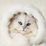 Оксана А on My World.
