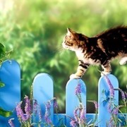 Ольга Уханова on My World.