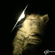 Доктор позитив on My World.