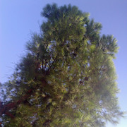 Максим Николаенко on My World.