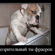 ----------- ------------- on My World.
