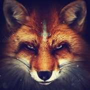 Master Fox on My World.