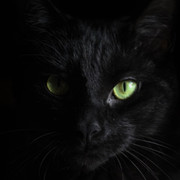 Dark Angel on My World.
