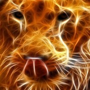 * Maximus * on My World.
