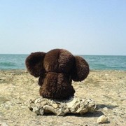 Максим Кодак on My World.