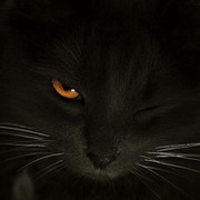 МИХАИЛ СОЛОДКОВ on My World.