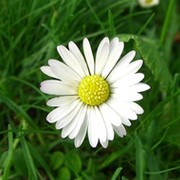 Ольга С on My World.