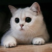 Пыонэр Иванов on My World.