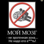 работов робот on My World.