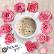 Роза Московская Вк