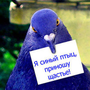 Святослава Федорец on My World.