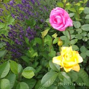 Татьяна Селезнёва on My World.