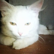 Сергей Марк on My World.