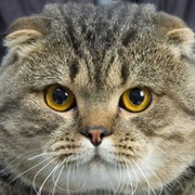 КакбЭ КотЭ... И ЛистопадЭ on My World.