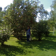 Taтьяна Azanova on My World.
