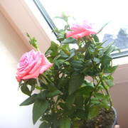 особенная особа=) on My World.