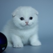 Татьяна Речкина on My World.