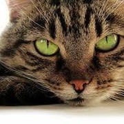 Tatyana )))))) on My World.