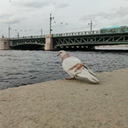Vadim Kostylev on My World.