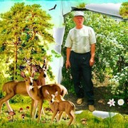 Владимир Воронков on My World.