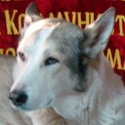 Александр Ходорченко on My World.